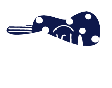 Ciudad Flamenca
